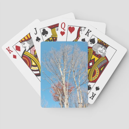 Jeu De Cartes Arbres dénudés (dos)