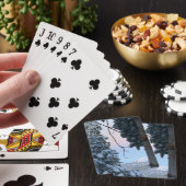 Jeu De Cartes Arbres neigeux (In Situ)