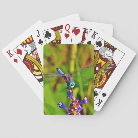 Jeu De Cartes Arc en ciel libellule et fleur (dos)