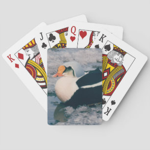 Jeu De Cartes Arctic King Eider Waterfowl Photo Design Deck