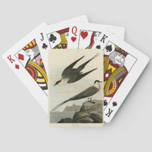 Jeu De Cartes Arctic Yager (Jager) - Audubon's Birds of America