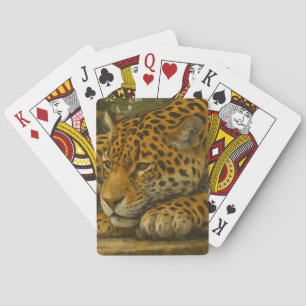 Jeu De Cartes Ardoise dorée - Leopard reposant en feuillage