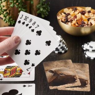 Jeu De Cartes Armadillo Dans Un Trou Dit Bonjour