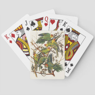 Jeu De Cartes Art ancien d'oiseau de Audubon Perruche de Carolin