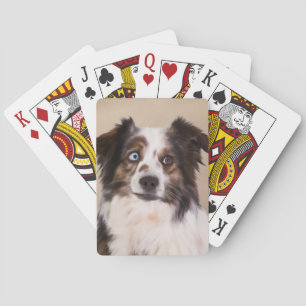 Jeu De Cartes Art de peinture à l'huile de chien berger australi