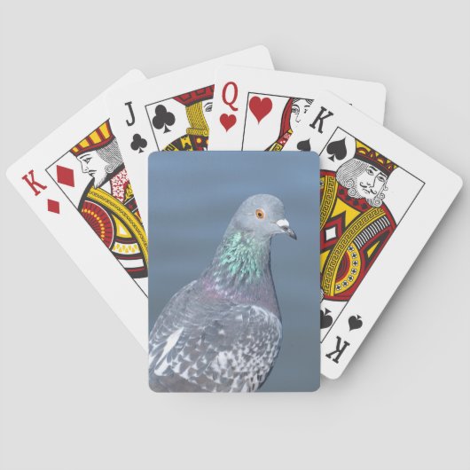 Jeu De Cartes Associé de pigeon (dos)