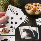 Jeu De Cartes attitude beagle (In Situ)