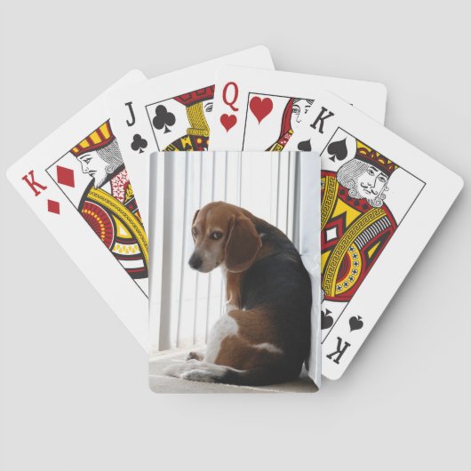 Jeu De Cartes attitude beagle (dos)