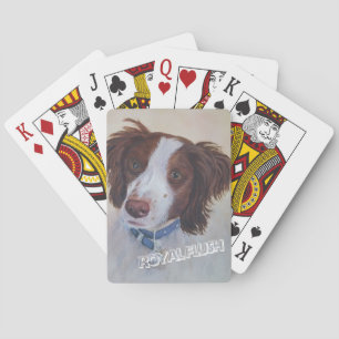 JEU DE CARTES AUBOURSER DÉFINITIVEMENT LE MÉLANGE DE SETTER