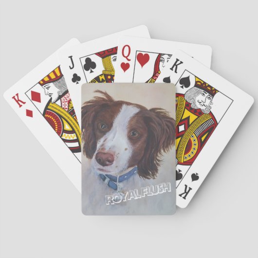 JEU DE CARTES AUBOURSER DÉFINITIVEMENT LE MÉLANGE DE SETTER (dos)