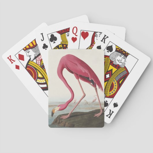 Jeu De Cartes Audubon American Flamant rose Classic Peinture (dos)