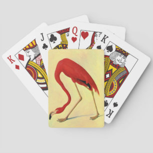 Jeu De Cartes Audubon American Flamingo Painting