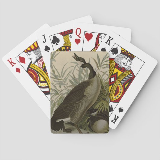 Jeu De Cartes Audubon Canada Oies Oiseaux sauvages (dos)