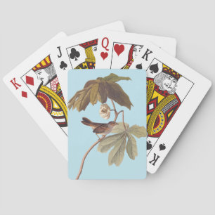 Jeu De Cartes Audubon Oiseau de Bruant sur Mandrake sauvage