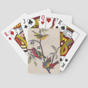 Jeu De Cartes Audubon Peint Bunting Bird Wildlife