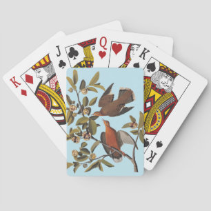 Jeu De Cartes Audubon Zenaida Dove avec fleurs