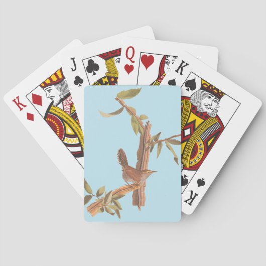 Jeu De Cartes Audubon's Bewick's long Tail Wren Song Bird (dos)