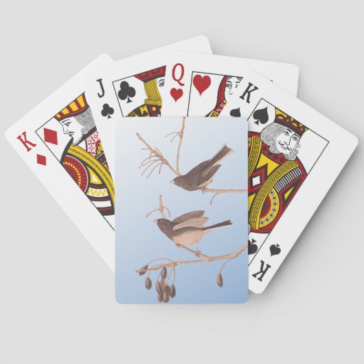 Jeu De Cartes Audubon's Snow Birds on Winter Tree and Blue Sky P (dos)