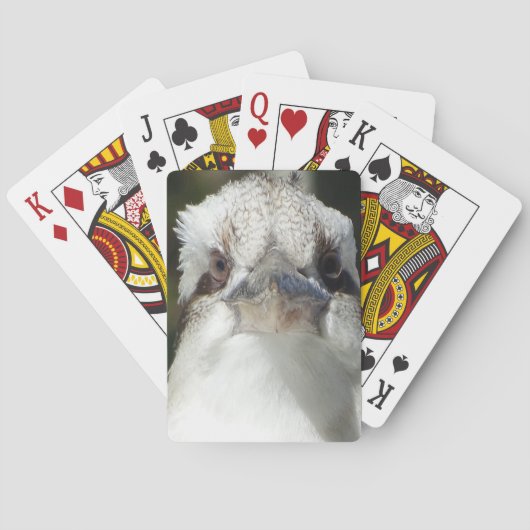 Jeu De Cartes Australien Kookaburra (dos)