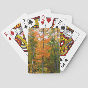 Jeu De Cartes Automne Maple Trees Automne Photographie de la nat