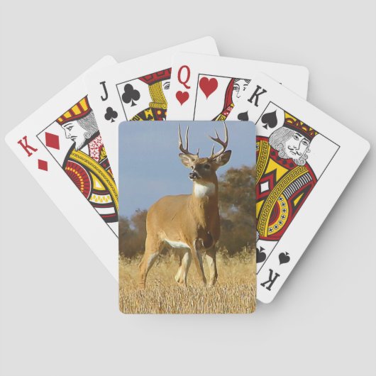 Jeu De Cartes Automne Whitetail Buck (dos)