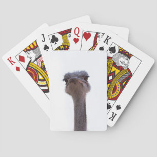 Jeu De Cartes autruche