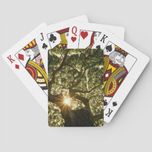 Jeu De Cartes Auvent Sunstar de banian