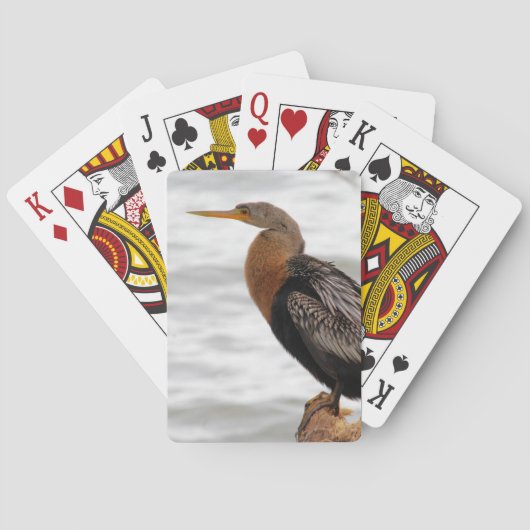 Jeu De Cartes Aux aguets (dos)