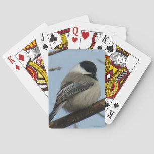 Jeu De Cartes B21 Mésange à tête noire
