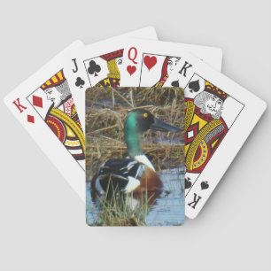 Jeu De Cartes B26 Canard souchet mâle Spatule