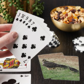 Jeu De Cartes B52 Buse de Swainson (In Situ)