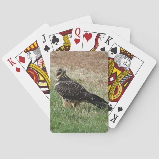 Jeu De Cartes B52 Buse de Swainson (dos)