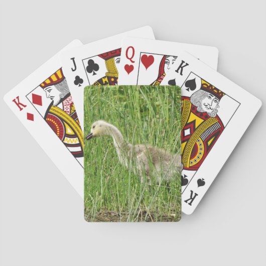 Jeu De Cartes B58 Oison de Bernache du Canada dans l'Herbe (dos)