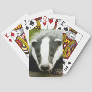 Jeu De Cartes Badger - Superbe photo pro !