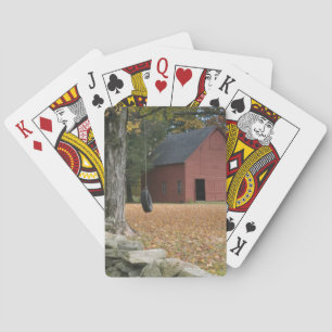 Jeu De Cartes Balançoire en pneu le long d'une route dans le sud