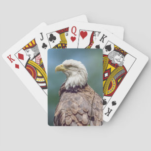 Jeu De Cartes Bald Eagle Jouer aux cartes