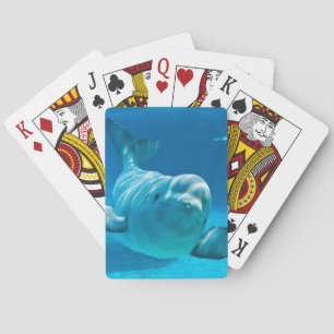 Jeu De Cartes Baleine de Beluga