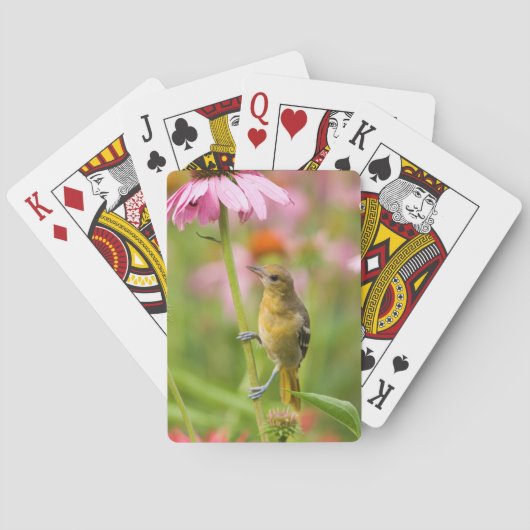 Jeu De Cartes Baltimore Oriole (dos)