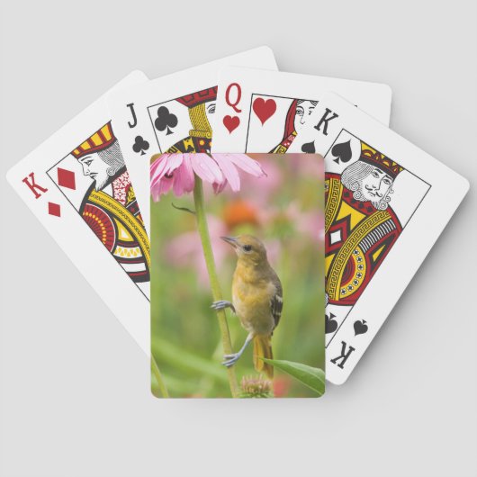 Jeu De Cartes Baltimore Oriole (dos)
