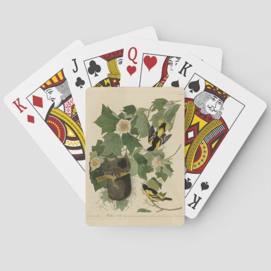 Jeu De Cartes Baltimore Oriole - d'Audubon's Birds of America (dos)