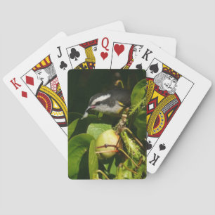 Jeu De Cartes Bananaquit Bird Mange Photographie tropicale