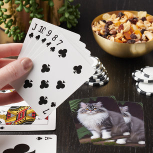 Jeu De Cartes Banjo le persan : Un délice gris et blanc