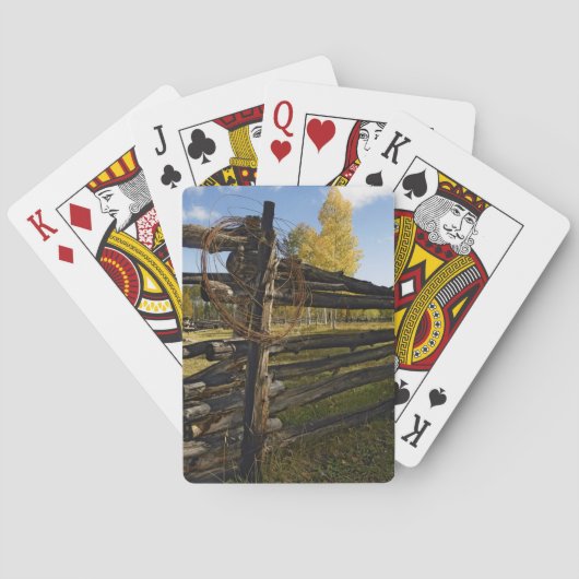Jeu De Cartes Barbelé (dos)