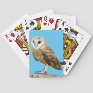 Jeu De Cartes Barn Owl