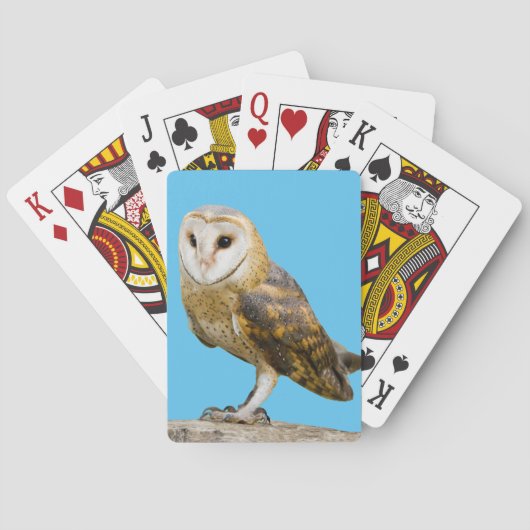 Jeu De Cartes Barn Owl (dos)