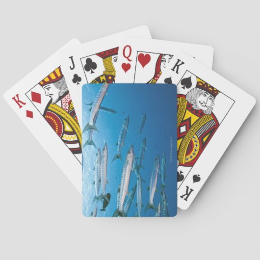 Jeu De Cartes Barracuda à nageoire noire (dos)