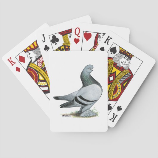 Jeu De Cartes Barre Bleue Berliner Tumbler Pigeon (dos)