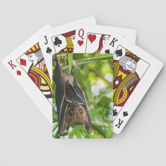 Jeu De Cartes Batte (dos)