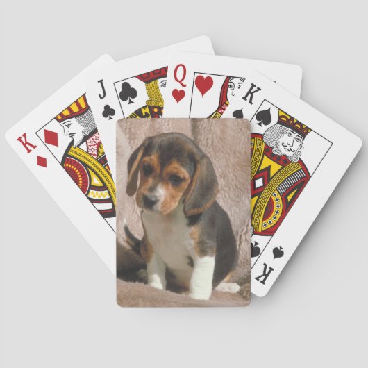 Jeu De Cartes Beagle Chien Chien Chien Jouant Cartes (dos)