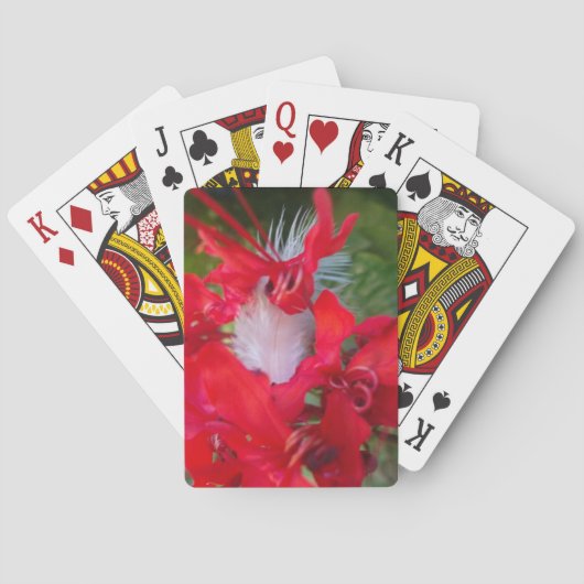 Jeu De Cartes Beau Alien Crimson.jpg (dos)